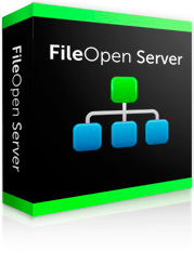 FileOpen Server
