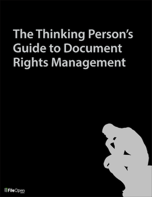 Thinking Person's Guide to DRM
